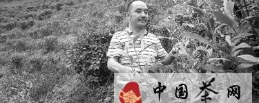 关于广西第一家红碎茶出口企业起死回生（图）的热门资讯
