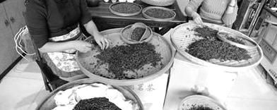 关于茶商备战春节市场的新闻