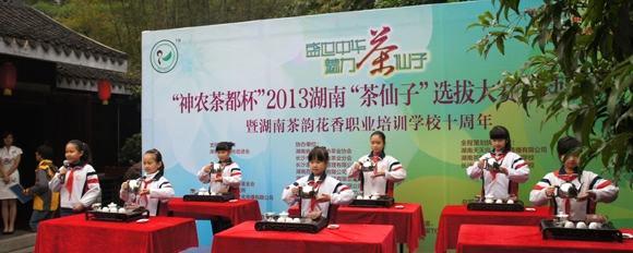 关于2013湖南“茶仙子”选拔大赛启动的消息