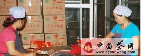 有关于海南乌石农场白马岭茶叶销售再创佳绩的热门消息
