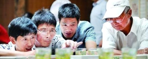 关于舟山市首届斗茶会在普陀举行的最新信息