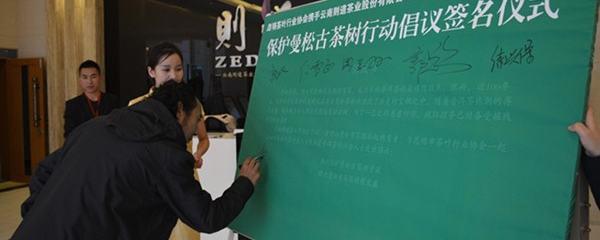 关于昆明茶叶协会携手云南则道茶业一同开展保护曼松古茶树行动的热门信息