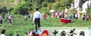 有关于安溪洪恩岩景区原生态茶歌吸引游客的热门新闻