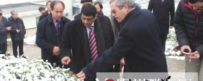 关于中东大使考察贵阳白茶基地的热门消息