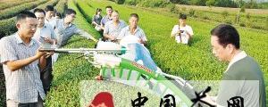 有关于绍兴成全国名优茶机械化采摘试验地（图）的热门信息