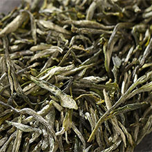 车云山毛尖外形