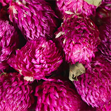 勿忘我花茶外形