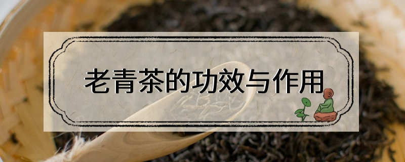 老青茶的功效与作用