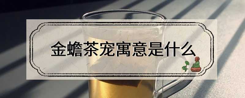 金蟾茶宠寓意是什么