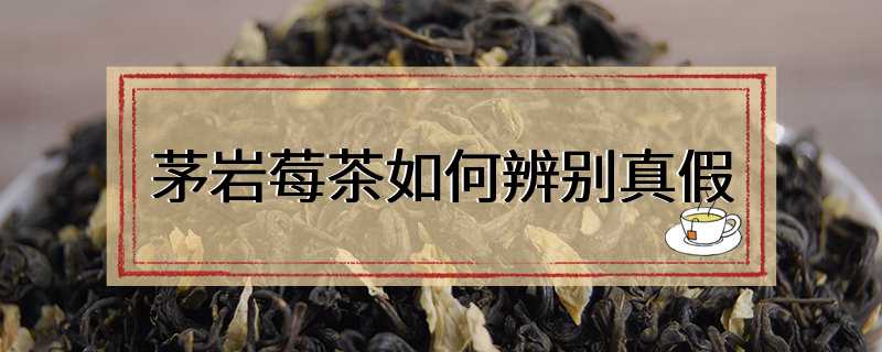 茅岩莓茶如何辨别真假