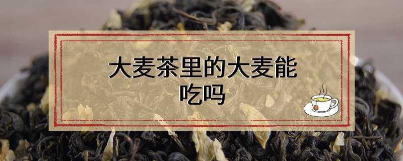大麦茶里的大麦能吃吗