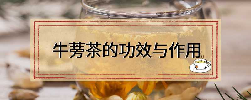 牛蒡茶的功效与作用