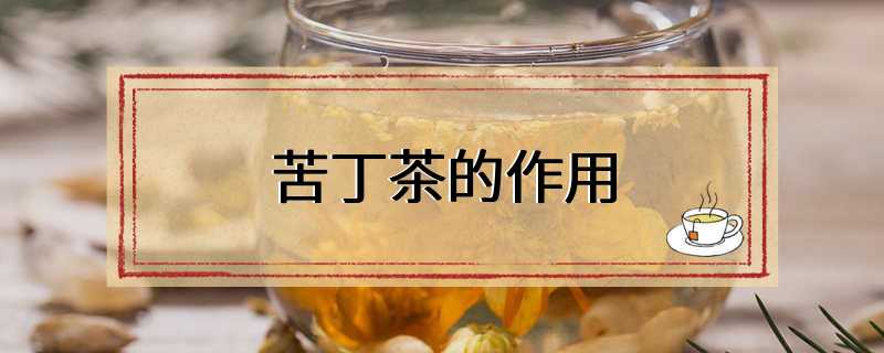 苦丁茶的作用