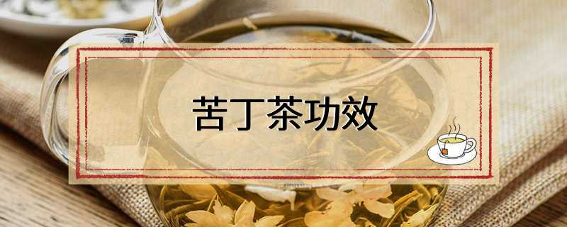 苦丁茶功效