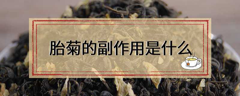 胎菊的副作用是什么