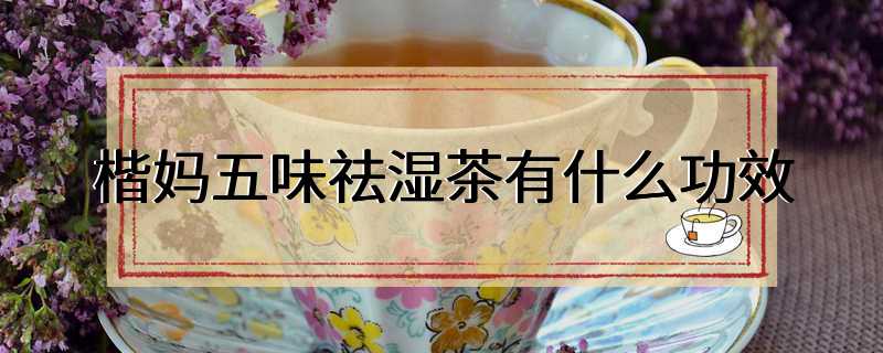 楷妈五味祛湿茶有什么功效