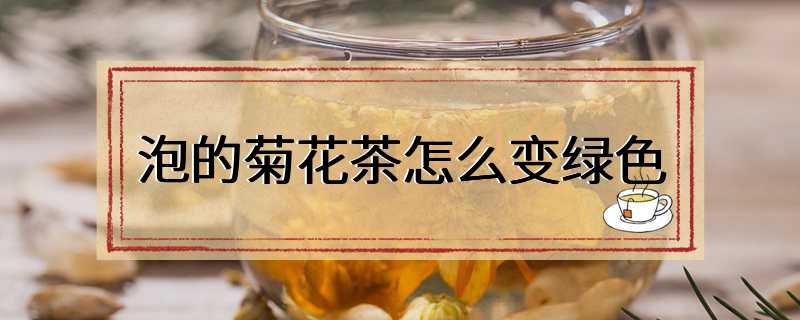 泡的菊花茶怎么变绿色
