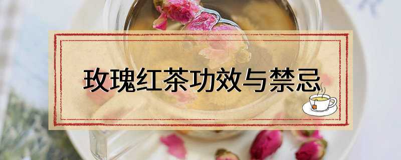 玫瑰红茶功效与禁忌