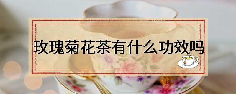 玫瑰菊花茶有什么功效吗