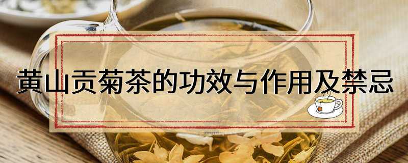 黄山贡菊茶的功效与作用及禁忌