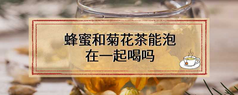 蜂蜜和菊花茶能泡在一起喝吗