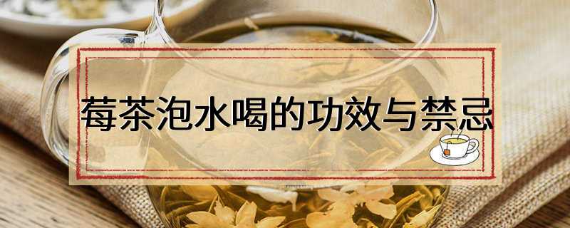 莓茶泡水喝的功效与禁忌