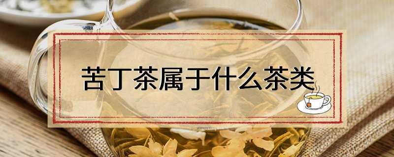 苦丁茶属于什么茶类