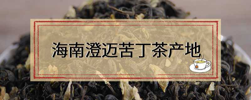 海南澄迈苦丁茶产地