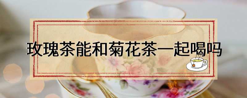 玫瑰茶能和菊花茶一起喝吗