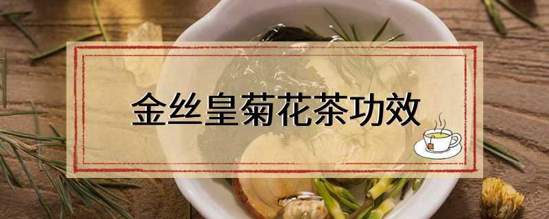 金丝皇菊花茶功效