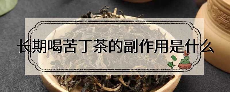 长期喝苦丁茶的副作用是什么