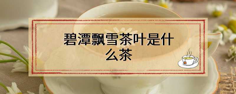 碧潭飘雪茶叶是什么茶