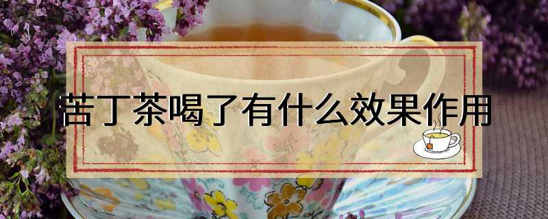 苦丁茶喝了有什么效果作用