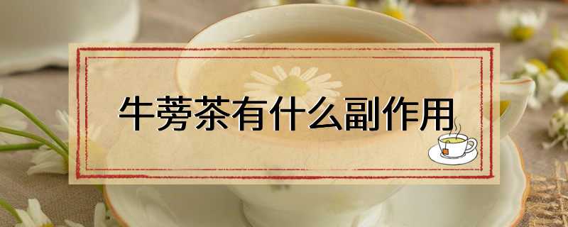 牛蒡茶有什么副作用