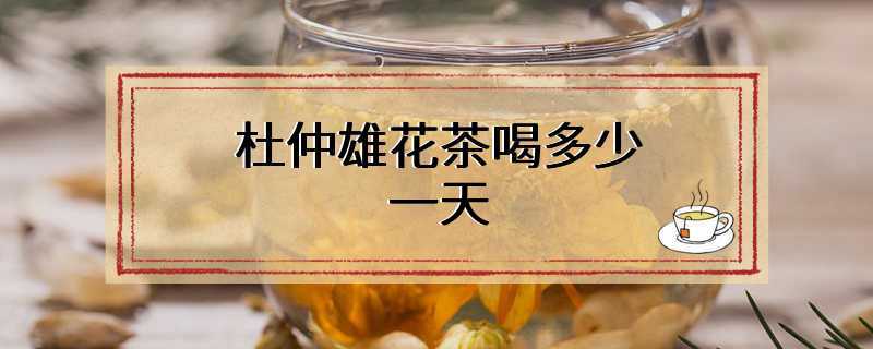 杜仲雄花茶喝多少一天