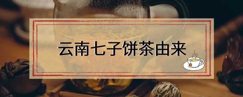 云南七子饼茶由来