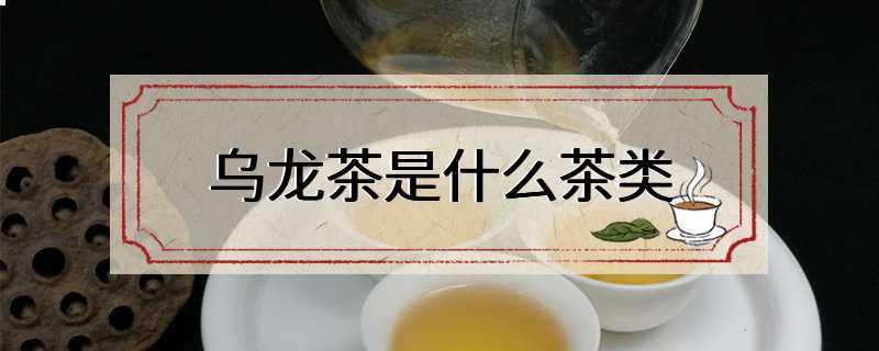 乌龙茶是什么茶类