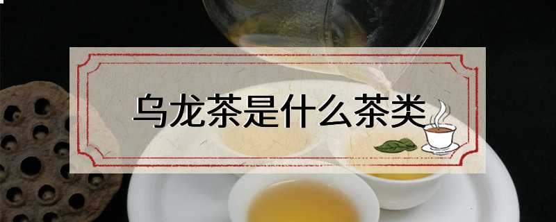 乌龙茶是什么茶类