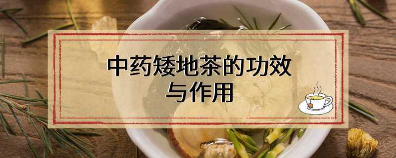 中药矮地茶的功效与作用
