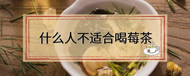 什么人不适合喝莓茶