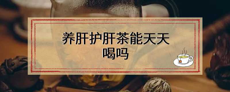 养肝护肝茶能天天喝吗