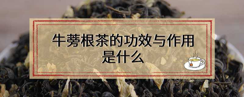 牛蒡根茶的功效与作用是什么