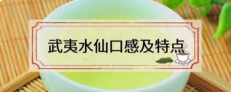 武夷水仙口感及特点