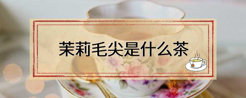 茉莉毛尖是什么茶