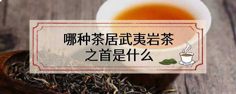 哪种茶居武夷岩茶之首是什么