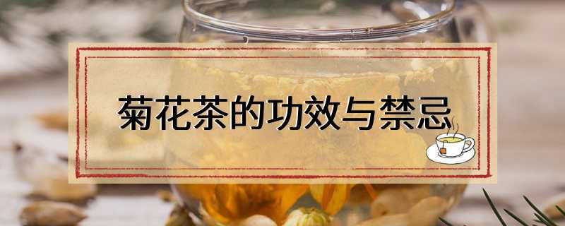 菊花茶的功效与禁忌