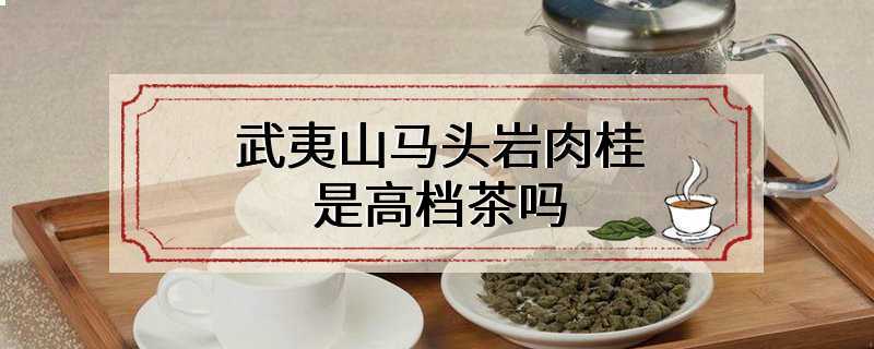 武夷山马头岩肉桂是高档茶吗