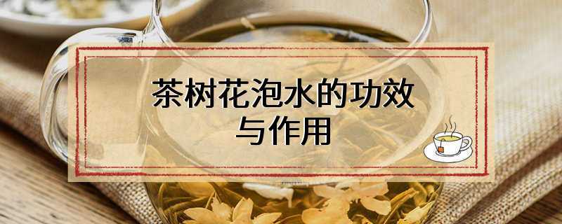 茶树花泡水的功效与作用