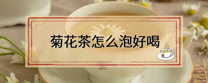 菊花茶怎么泡好喝