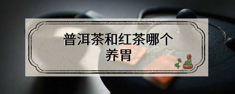 普洱茶和红茶哪个养胃